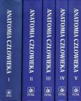 Opakowanie Anatomia człowieka 1-5