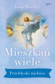 Okładka książki Mieszkań wiele