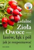 Okładka książki Jadalne zioła i owoce lasów, łąk i pól