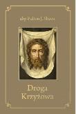 Okładka książki Droga Krzyżowa TW WDS