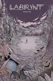 Okładka książki Labirynt