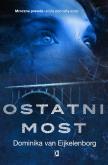 Okładka książki Ostatni most