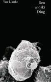 Okładka książki SEN WIOSKI DING