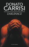 Okładka książki Zaklinacz pocket