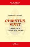 Christus Vivit. Autor: o. św. Franciszek. Dobreksiazki.pl Okładka książki Christus Vivit