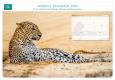 Opakowanie Planer tygodniowy Leopard in sand