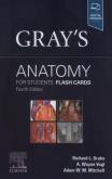 Okładka książki Gray's Anatomy for Students Flash Cards, 4th Edition