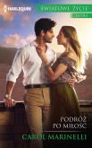 Okładka książki Podróż po miłość