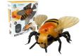 Opakowanie Pszczoła zdalnie sterowana duża