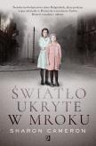 Okładka książki Światło ukryte w mroku