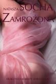 Okładka książki Zamrożona