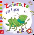 Okładka książki Zwierzęta na łące. Akademia maluszka