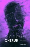 Okładka książki Cherub