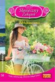Okładka książki Słoneczny zakątek Tom 58 Zabłąkane serce