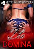 Okładka książki Zła domina