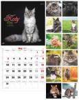 Opakowanie Kalendarz 2021 Albumowy Duży KOTY KAD-9