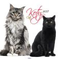 Opakowanie Kalendarz 2022 KD-21 Koty AVANTI