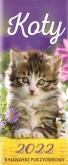 Opakowanie Kalendarz 2022 Pocztówkowy Koty