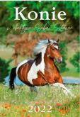 Opakowanie Kalendarz 2022 Reklamowy Konie w obiektywie RW13