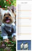 Opakowanie Kalendarz 2022 Ścienny paskowy Ach te zwierzaki ..