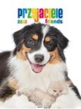 Opakowanie Kalendarz 2022 KSM-7 Przyjaciele AVANTI