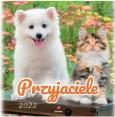 Opakowanie Kalendarz 2022 Ścienny Przyjaciele ARTSEZON