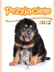Opakowanie Kalendarz 2022 Ścienny Przyjaciele ARTSEZON