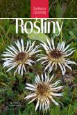 Okładka książki Rośliny. Spotkania z przyrodą