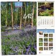 Opakowanie Kalendarz 2022 B3 7 plansz Las