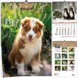 Opakowanie Kalendarz 2022 B3 7 plansz Psy