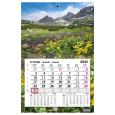 Opakowanie Kalendarz 2022 jednodzielny główka płaska Tatry