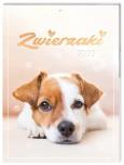 Opakowanie Kalendarz 2022 ścienny 31x23 Zwierzaki