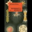 Okładka książki Przyrodnicy o nadprzyrodzonym. Światopoglądy fizyków i biologów z Polski i Ukrainy