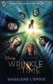 Okładka książki A Wrinkle in Time