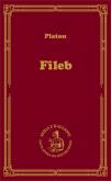 Okładka książki Fileb