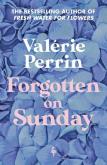Forgotten on Sunday. Autor: Valerie Perrin. Dobreksiazki.pl Okładka książki Forgotten on Sunday