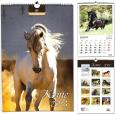 Opakowanie Kalendarz 2022 13 Plansz B3 - Konie