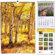 Opakowanie Kalendarz 2022 7 Plansz B3 - Las