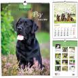 Opakowanie Kalendarz 2022 7 Plansz B3 - Psy