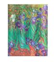 Opakowanie Kalendarz 2023/2024 Van Gogh’s Irises Ultra Tygodniowy