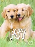 Opakowanie Kalendarz 2023 B4 Psy ARTSEZON
