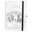 Opakowanie Kalendarz 2023 B6 dzienny Jazz konie ELEFANT
