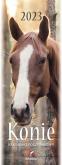 Opakowanie Kalendarz 2023 pocztówkowy Konie
