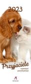 Opakowanie Kalendarz 2023 Pocztówkowy Przyjaciele ARTSEZON