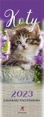 Opakowanie Kalendarz 2023 Pocztówkowy Psy ARTSEZON