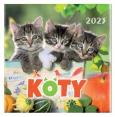 Opakowanie Kalendarz 2023 Wieloplanszowy Koty ARTSEZON