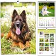 Opakowanie Kalendarz 2024 B3 7 plansz Psy
