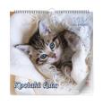 Opakowanie Kalendarz 2024 Kociaki lux ścienny