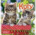 Opakowanie Kalendarz 2024 Koty