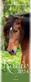 Opakowanie Kalendarz 2024 pocztówkowy Konie